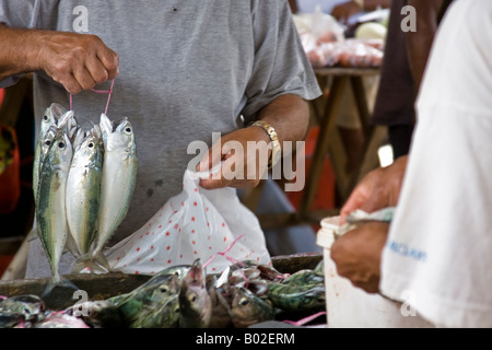 Fisch zum Kauf an Victoria Market auf den Seychellen zusammengebunden Stockfoto