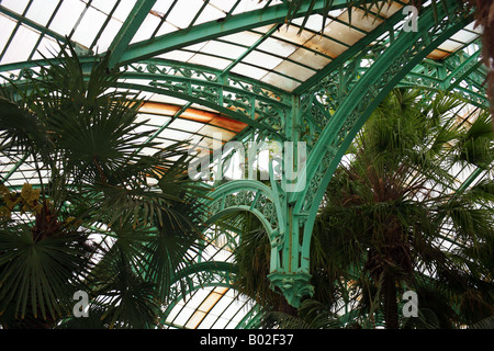 Inneren des Wintergarten, die königlichen Gewächshäuser von Laeken, Brüssel, Belgien - Architekten Alphonse Balat Stockfoto