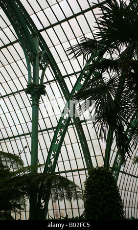 Inneren des Wintergarten, die königlichen Gewächshäuser von Laeken, Brüssel, Belgien - Architekten Alphonse Balat Stockfoto