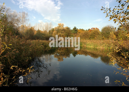 Einem See umgeben von Herbst, Lackford Seen, Suffolk, England Stockfoto