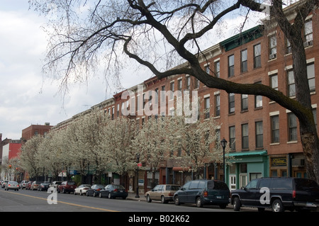 Die trendigen Künstlerviertel am Bruckner Boulevard im Stadtteil Mott Haven der South Bronx in New York Stockfoto