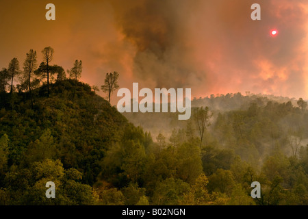 50.000 Hektar großen California Wildfire im Henry Coe State Park südlich von San Jose von CAL Feuer CDF bekämpft Stockfoto