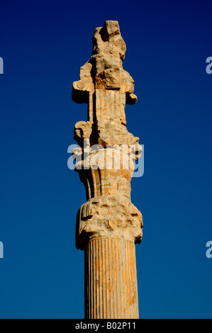 Basrelief in Persepolis, Iran. Gesamtansicht des Standortes. Stockfoto