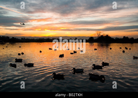 Sonnenuntergang am Palo Alto Baylands-Ententeich Stockfoto