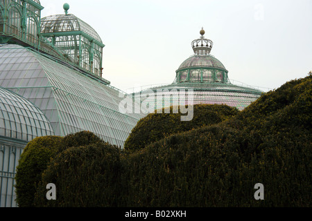 Kongo-Haus und Wintergarten königlichen Gewächshäuser in Laeken, Brüssel-Belgien Stockfoto