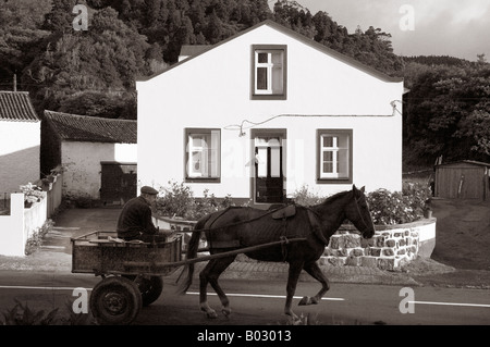 Azoren, Bauer mit Pferd und Trap, Sete Cidades Sao Miguel Island. Stockfoto