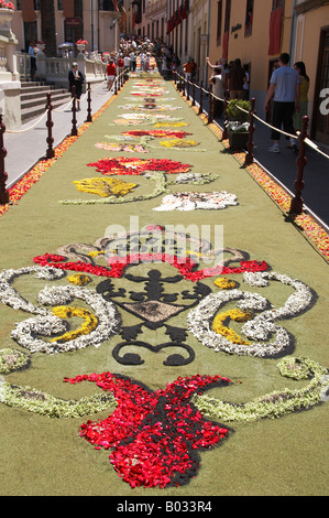 Orotava, La Alfombra (Teppich) De Corpus Christi Stockfoto