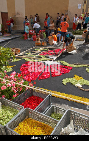 Orotava, La Alfombra (Teppich) De Corpus Christi Stockfoto