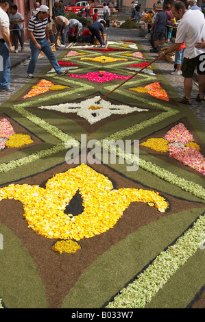 Orotava, La Alfombra (Teppich) De Corpus Christi Stockfoto