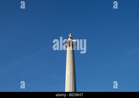 Nelsonsäule in hinauszufahren Square, London Stockfoto