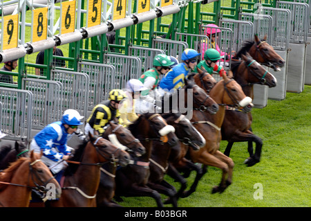 Rennpferde beim Chester Rennen treffen England UK Juli 2005 Stockfoto