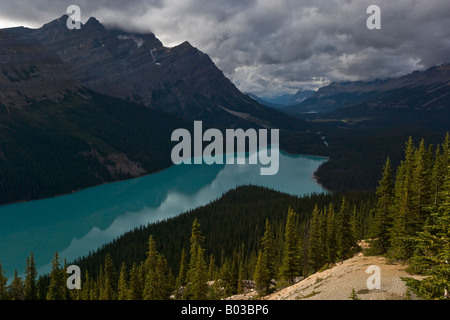 Das frische, türkisfarbene Wasser des Peyto Lake in den sonnendurchfluteten Gebirgswäldern der kanadischen Rockies Stockfoto