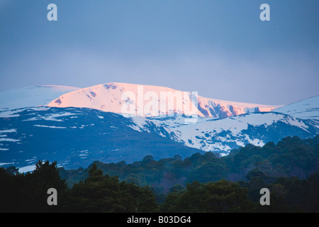 Schottischer Frühling April Landschaft; Early Morning Snow beleuchtete über Ben Mcdui oder Macdui im Cairngorms National Park, Schottland Großbritannien Stockfoto