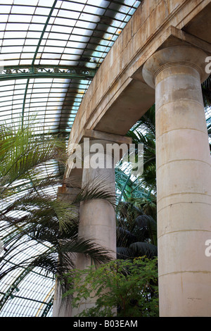 Wintergarten, königlichen Gewächshäuser in Laeken, Brüssel (Les Serres Royales de Laeken) Stockfoto