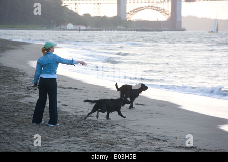 eine Frau und ihr Hund am Strand von Crissy Field in San Francisco, Kalifornien Stockfoto