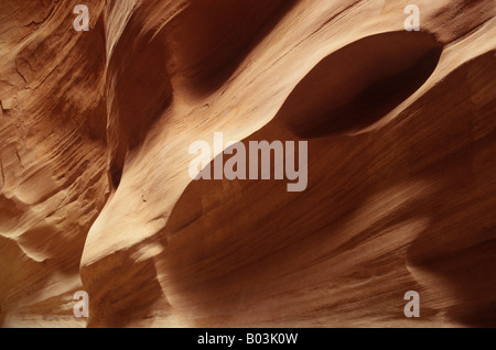 Sandstein-Detail, Dry Fork von Coyote Gulch, Grand Staircase Escalante National Monument, Utah, USA Stockfoto