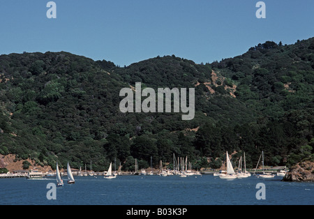 Ayala Cove Angel Island State Park in der Bucht von San Francisco Kalifornien Stockfoto