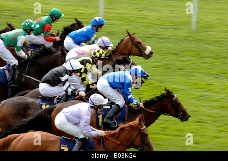 Rennpferde beim Chester Rennen treffen England UK Juli 2005 Stockfoto