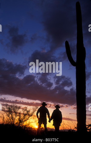 Liebhaber halten Hände bei Sonnenuntergang, Saguaro National Park, Tucson, Arizona. Stockfoto