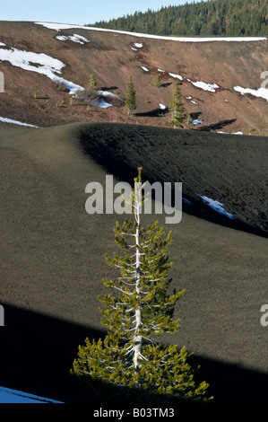 Cinder Cone Felge Stockfoto