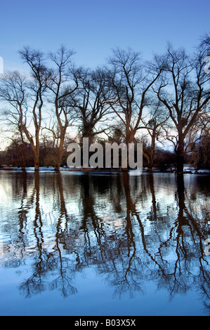 Baumgruppe spiegelt sich in Hochwasser des Flusses Medway die platzen seiner Banken Penshurst Kent England uk Stockfoto