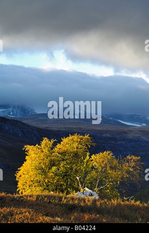 Leirdalen Berg Landschaft Gebirge Gebirgslandschaft Berglandschaft Oppland Norwegen Norwegen Nordeuropa Nordeuropa Stockfoto