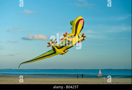 Kite-Festival, Insel Norderney, Friesisch Nordinsel Schleswig-Holstein, Deutschland Stockfoto