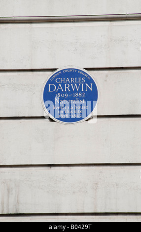 London County Council blaue Plakette außerhalb University College London Kennzeichnung der Website Charles Darwin lebte Stockfoto