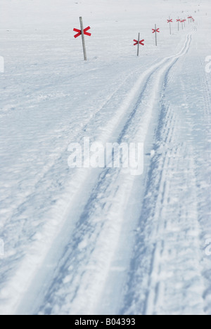 Langlauf-Loipe am Fjaell Berg Dundret, Gaellivare, Lappland, Schweden Stockfoto