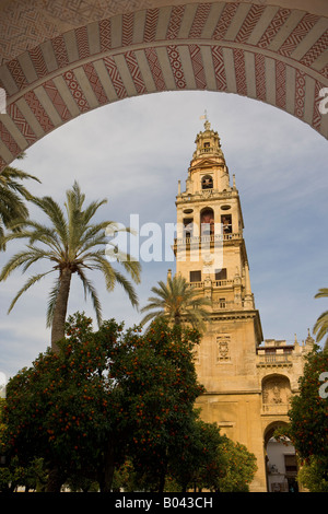 Torre del Alminar (Glockenturm) von der Mezquita (-Moschee-Kathedrale), gesehen vom Eingang zur Kathedrale, Córdoba Stockfoto