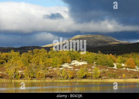 Herbst-Landschaft Herbstlandschaft Fokstumyra Oppland Norwegen Norwegen Nordeuropa Nordeuropa Stockfoto