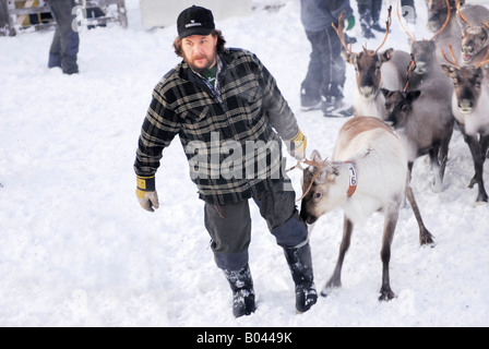 Rangifer Tarandus Rentier Rasse Kultur Lappland Stockfoto