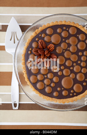 Schildkröte-Pie Stockfoto