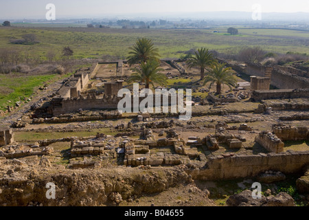 Ruinen der Stadt Haupt-Moschee (Moschee), Medina Azahara (Medinat al-Zahra), Provinz Córdoba, Andalusien (Andalusien). Stockfoto