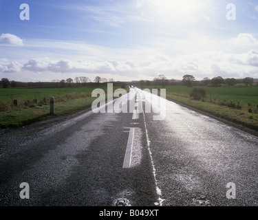 Straße durch die Felder Stockfoto