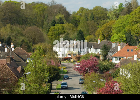 Wimbledon Houses, großes Einfamilienhaus Großbritannien. Zurück auf Wimbledon Common. South West London 2008 2000er Jahre HOMER SYKES Stockfoto