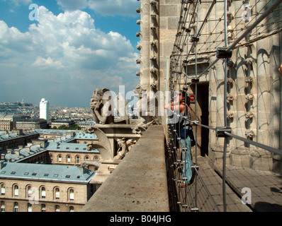 Tourist-Frau an der Galerie des Chimères. Notre-Dame. Île De La Cité. Paris. Frankreich Stockfoto