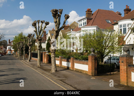 Wimbledon Village, große teure Häuser. Gehäuse Südwesten London SW19 London UK Parkside Road 2008 2000s UK HOMER SYKES Stockfoto