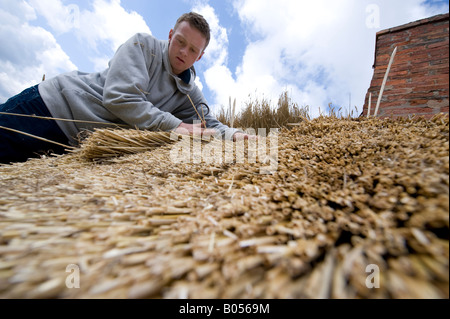 Master Thatcher James Caro legt Stroh Stroh um das Dach des Anne Hathaway Ferienhaus in Stratford on Avon reparieren Stockfoto