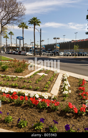 Ford-Händler und Blumen gepflanzt in einem Chevron-Muster auf einem Boulevard von Autos in Glendale Stockfoto