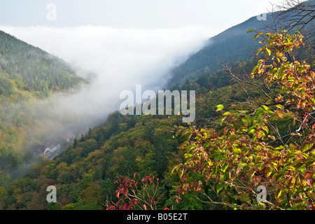 Blick vom Ilsesteins auf das Tal von Ilse, Deutschland, Sachsen-Anhalt, Ilsenburg Stockfoto