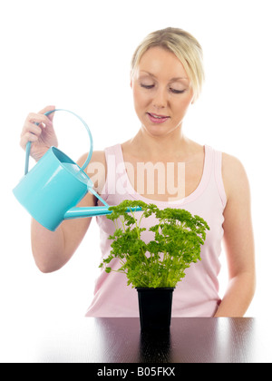 Junge Frau Bewässerung ein Topf von Homegrown Garten Kräuter Bereit zur Abholung und Kochen mit einer Gießkanne gegen einen weißen Hintergrund und Freistellungspfad isoliert Stockfoto