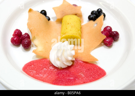 Zitrone Pudding auf einem Tuile serviert mit frischen Beeren Eis und Erdbeer-coulis Stockfoto
