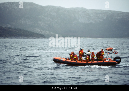 Whale-watching Öko-Touristen auf einer geschälten Festrumpfschlauchboot in Tysfjord Norwegen Stockfoto