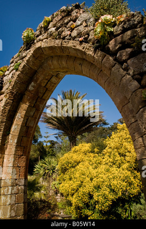 Stone Torbogen Teil der Abtei Ruinen in Tresco Abbey Gardens, Isle of Scilly. Stockfoto