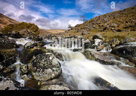 Rocky-Stream mit Tavy Cleave Dartmoor Devon England Stockfoto