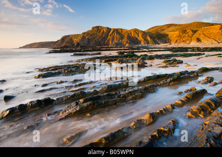 Erodierte leisten bei Ebbe Sandymouth North Cornwall freigelegt Stockfoto