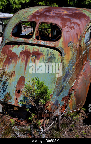 verlassene rostigen Käfer Vw Auto Stockfoto