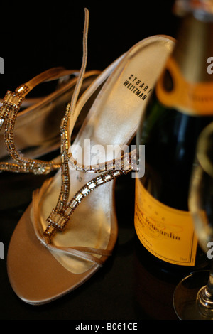 Champagner und Schuhe Stockfoto