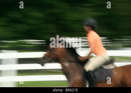 Foto eines Fahrers in einem orangenen Trikots und Helm ein Bucht Vollblut/Quarter Horse zu reiten. Stockfoto